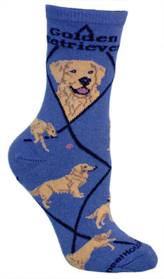 Golden Retriever on indigo PH1170