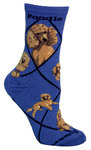 Poodle, Apricot on indigo PH1137
