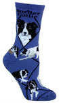 Border Collie on indigo PH1148