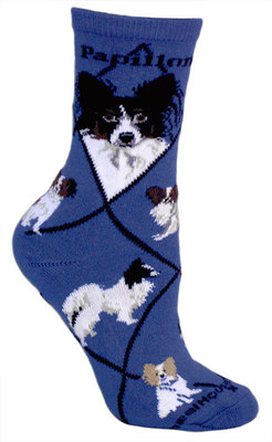 Papillon on indigo PH1169