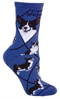 Cardigan Welsh Corgi on indigo PH1171