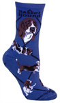 Basset Hound on indigo PH1145