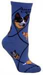 Austr5alian Cattle Dog on indigo PH1142