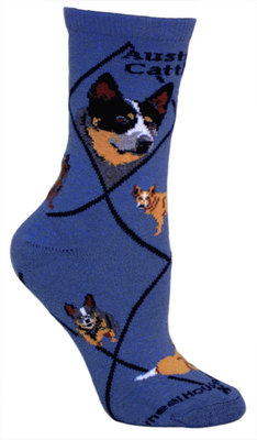 Austr5alian Cattle Dog on indigo PH1142