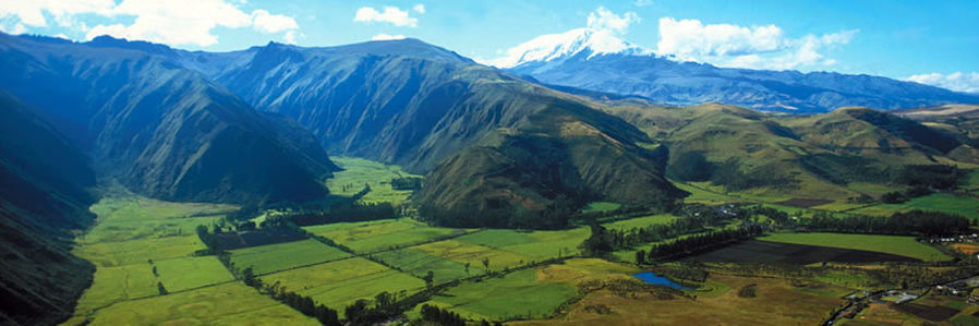 Latin America