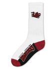 South Carolina Gamecocks Long Crew