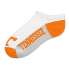 Tennesse 516 No Show 