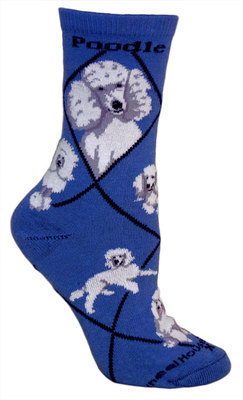 Poodle, White on blue PH1134