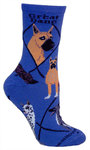 Great Dane on blue PH1140