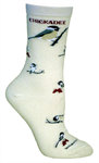 Chickadee on natural LW557