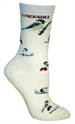 Chickadee on natural LW557
