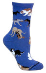 Dogs All Over on indigo PH1189