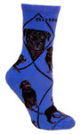 Rottweiler on indigo PH1185