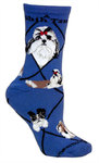 Shih Tzu on indigo PH1184