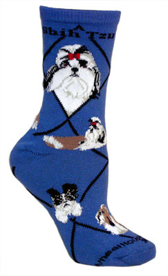 Shih Tzu on indigo PH1184