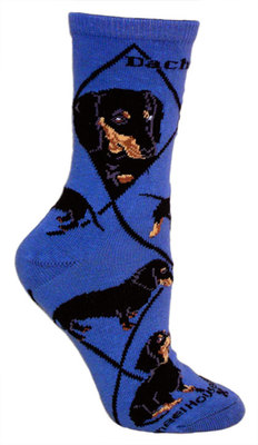 Dachshund, Black on indigo PH1188