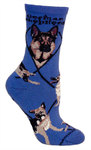 German Shepherd on indigo PH1187