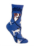Jack Russell Terrier on indigo PH1186