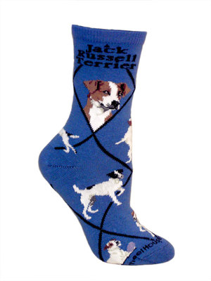 Jack Russell Terrier on indigo PH1186