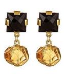Black Onyx with Rough Citrus Stone Earrings