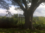 Mini zip line running across Newry lawn