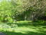 MLS: 2745610 MLS: 2745610