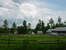 MLS: 2833509 MLS: 2833509