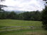 MLS: 4015036
