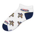 Florida Panthers 528 No Show