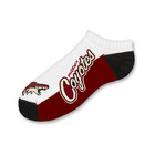 Phoenix Coyotes 516 No Show