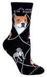 American Pit Bull Terrier PH1157