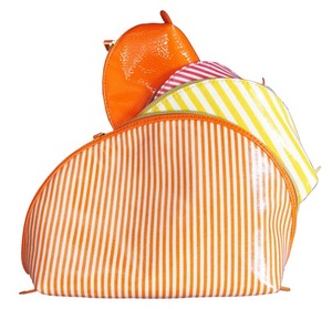 Striped Cosmetic Case