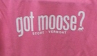 Got Moose Stowe Vermont Kids Tee- Pink