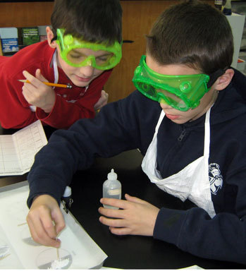 3rd grade science