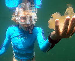 Palau snorkeling - Boundless Journeys