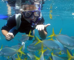 Palau snorkeling tour - Boundless Journeys