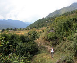 Bhutna private tour operator