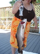 Big Rainbow