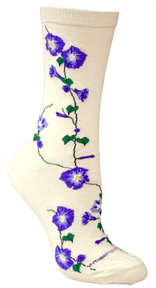 Morning Glories LW268