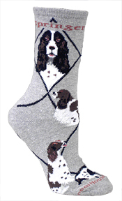 English Springer Spaniel Gray PH559