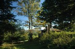 View Near Cabin 4