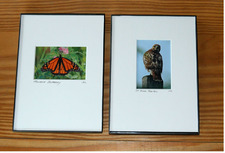 5x7 Mini-Framed photos