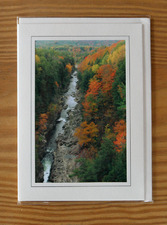 Photo Greeting Card