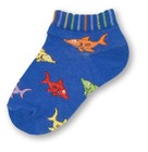 Sharks Sock