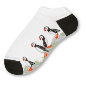 Seaside Puffin