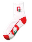 Ohio State Buckeyes Zoom Sock