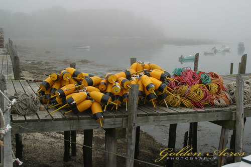 "Friendship Harbor, ME"