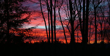"Red Sky at Morning"