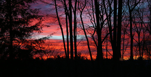 "Red Sky at Morning"