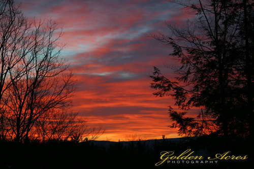 "Sunrise #024"